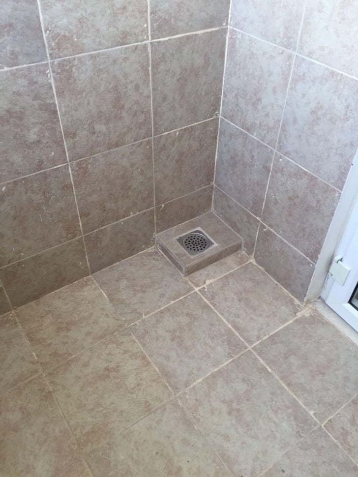 Describe this image